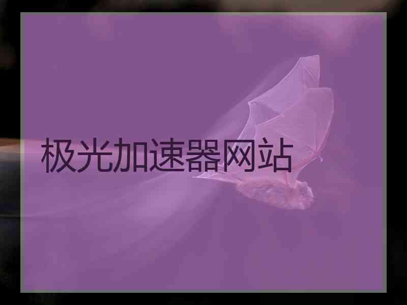极光加速器网站
