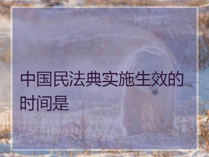 中国民法典实施生效的时间是