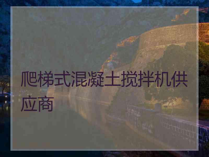 爬梯式混凝土搅拌机供应商