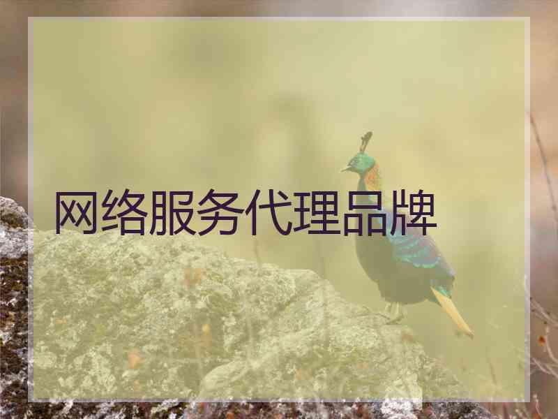 网络服务代理品牌