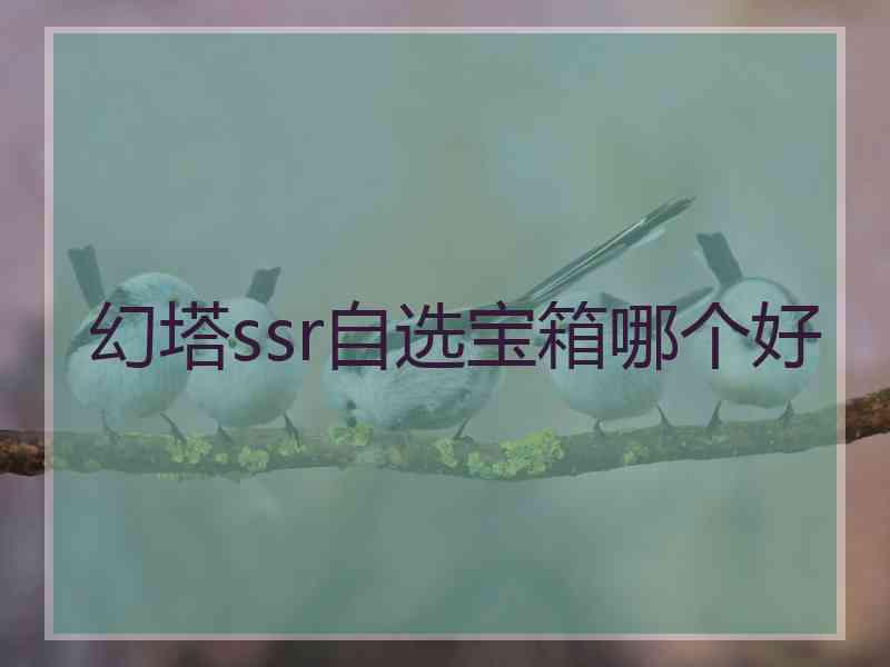 幻塔ssr自选宝箱哪个好