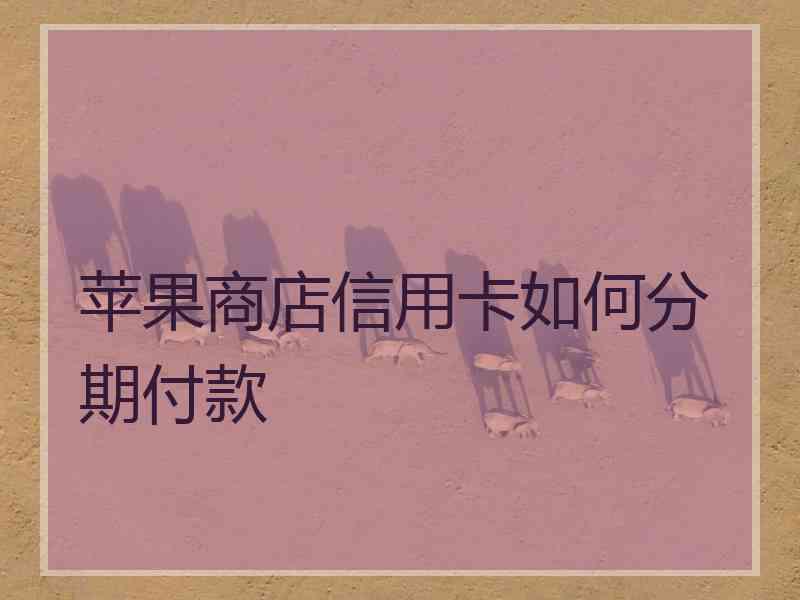 苹果商店信用卡如何分期付款