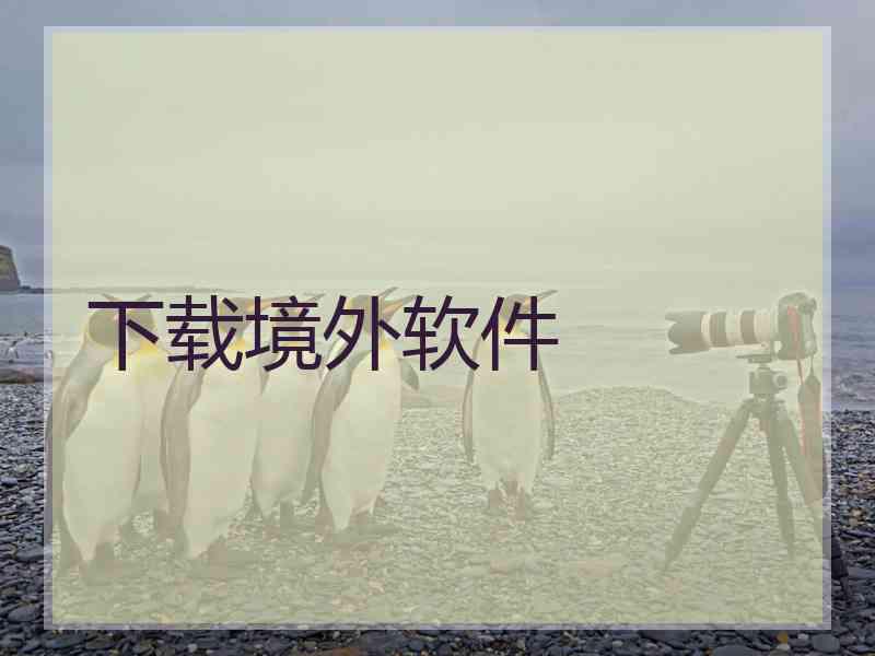 下载境外软件