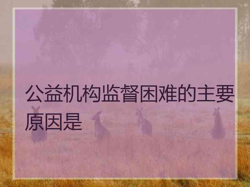 公益机构监督困难的主要原因是