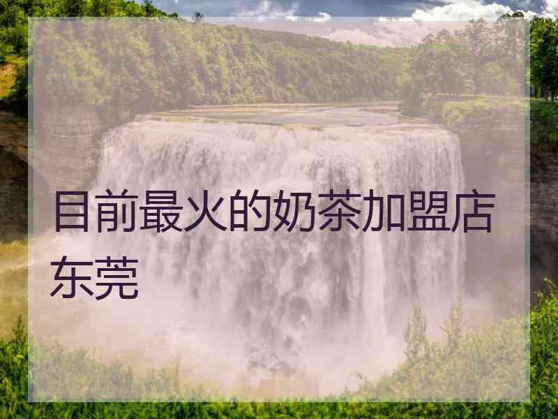 目前最火的奶茶加盟店东莞