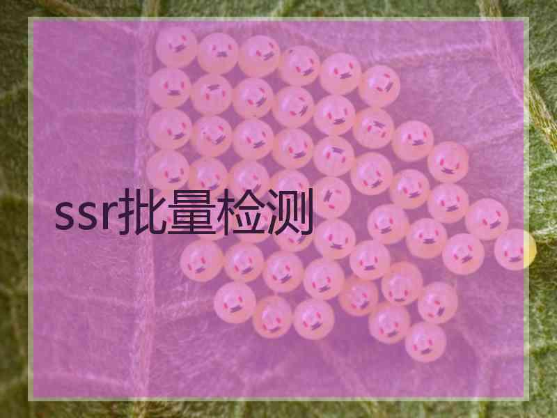 ssr批量检测