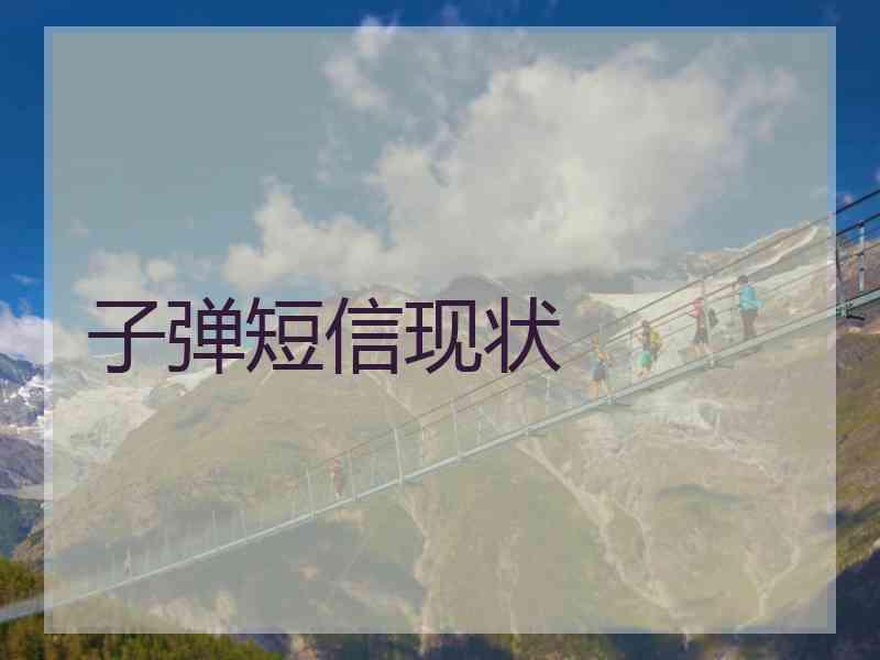 子弹短信现状