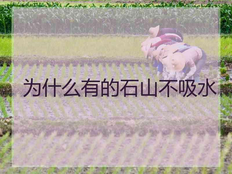 为什么有的石山不吸水