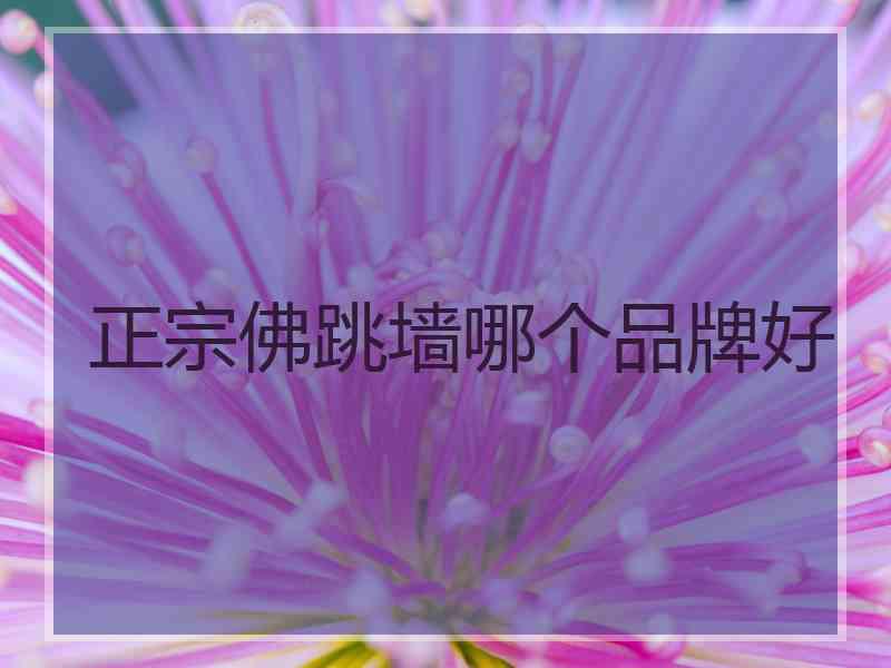 正宗佛跳墙哪个品牌好