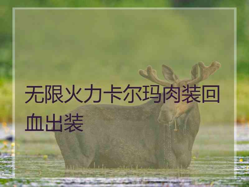 无限火力卡尔玛肉装回血出装