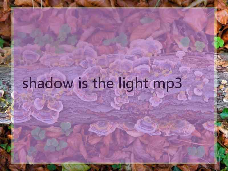shadow is the light mp3