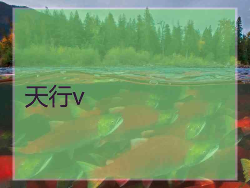天行v