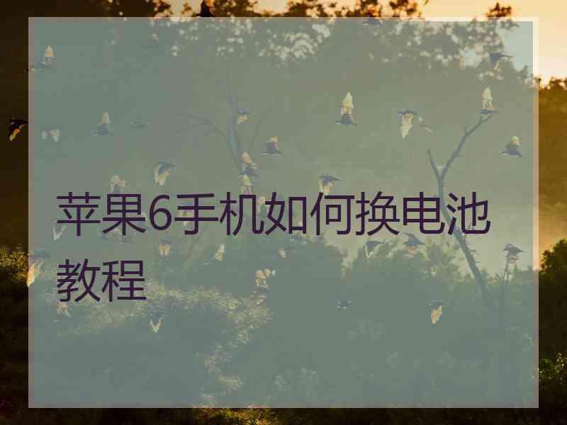 苹果6手机如何换电池教程