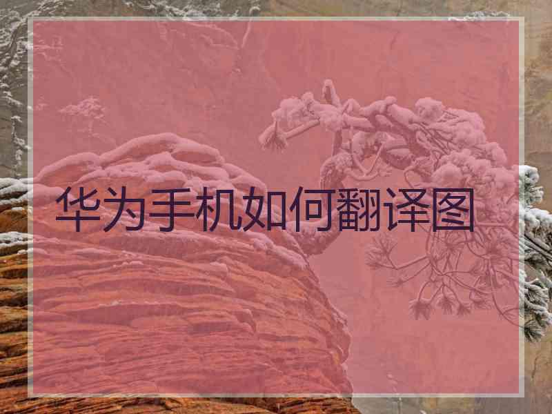 华为手机如何翻译图