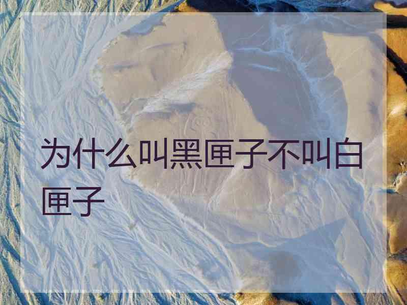 为什么叫黑匣子不叫白匣子