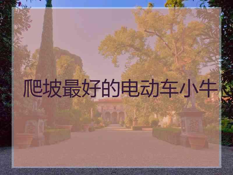 爬坡最好的电动车小牛