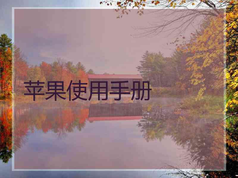 苹果使用手册