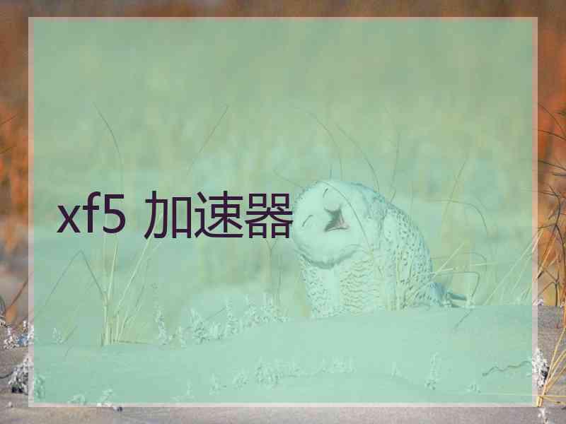 xf5 加速器