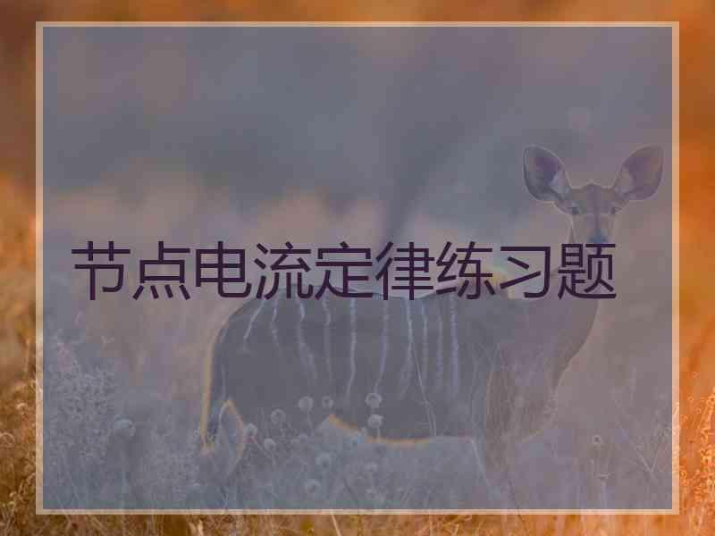 节点电流定律练习题