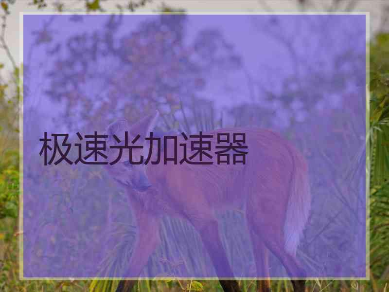 极速光加速器