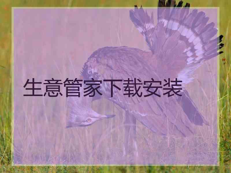 生意管家下载安装
