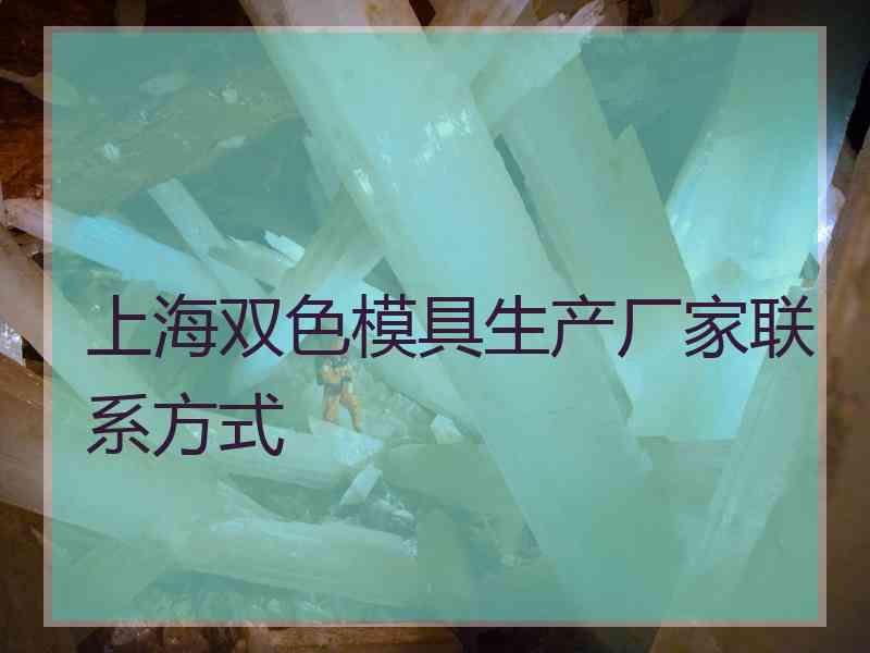 上海双色模具生产厂家联系方式