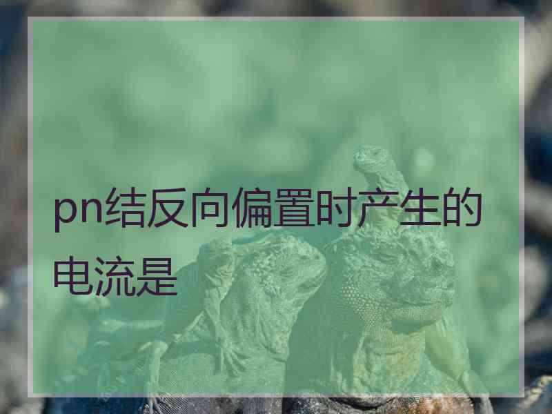 pn结反向偏置时产生的电流是