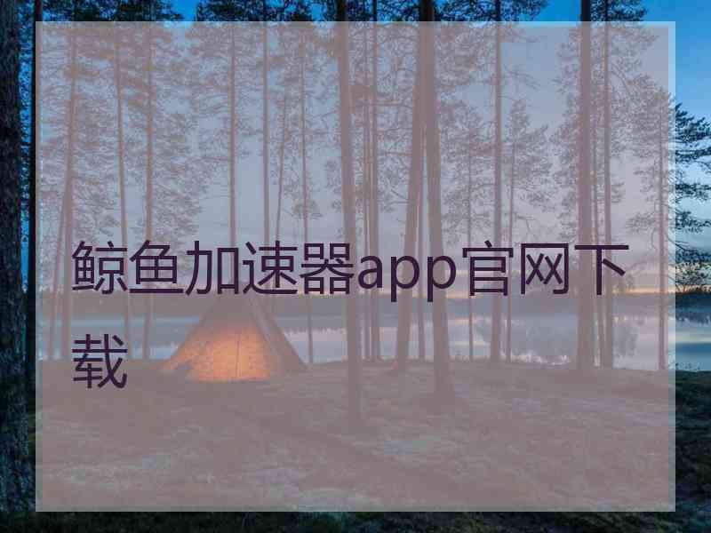 鲸鱼加速器app官网下载