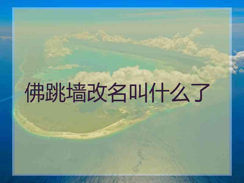 佛跳墙改名叫什么了