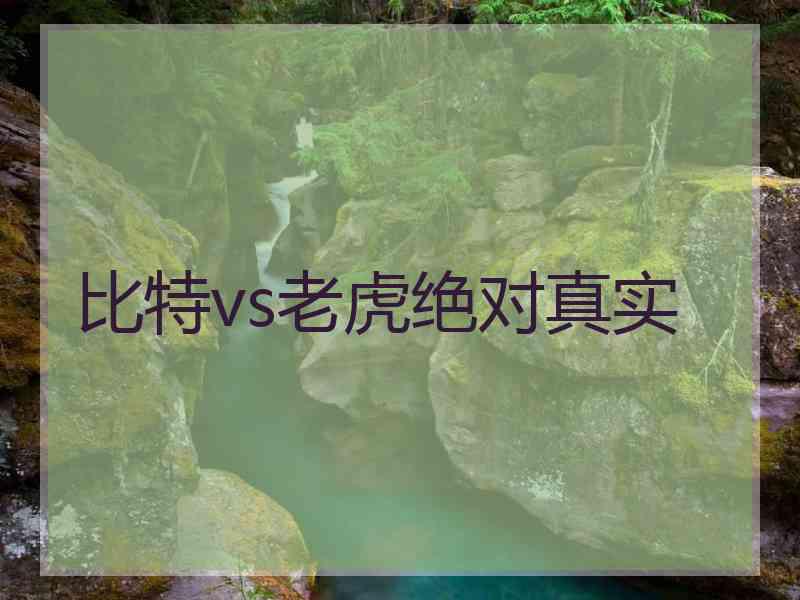 比特vs老虎绝对真实