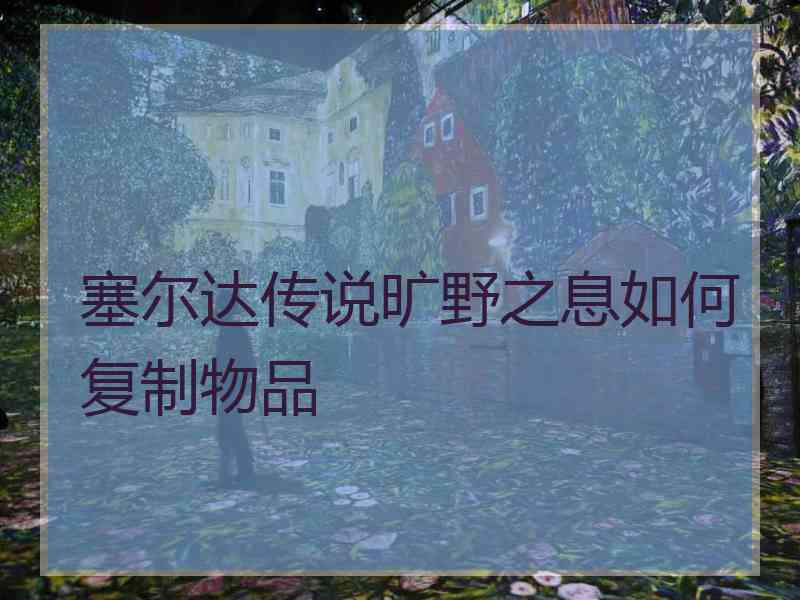 塞尔达传说旷野之息如何复制物品