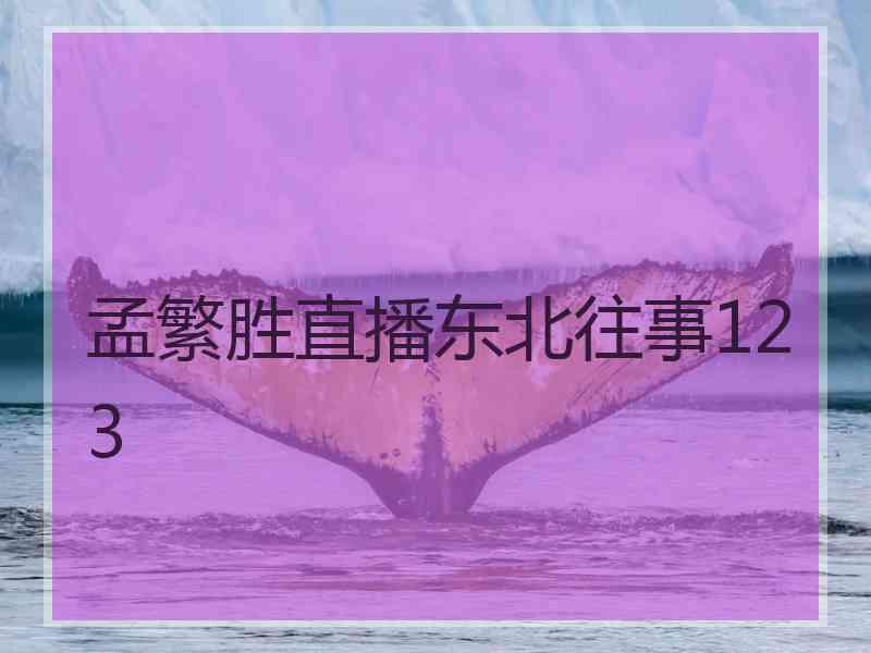 孟繁胜直播东北往事123