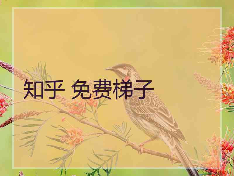 知乎 免费梯子