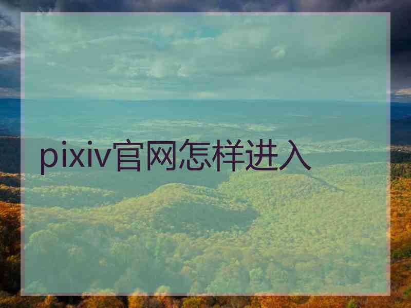 pixiv官网怎样进入