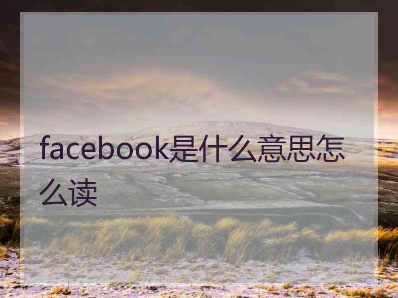 facebook是什么意思怎么读