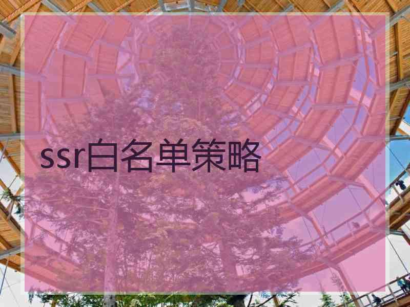 ssr白名单策略