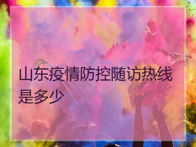 山东疫情防控随访热线是多少