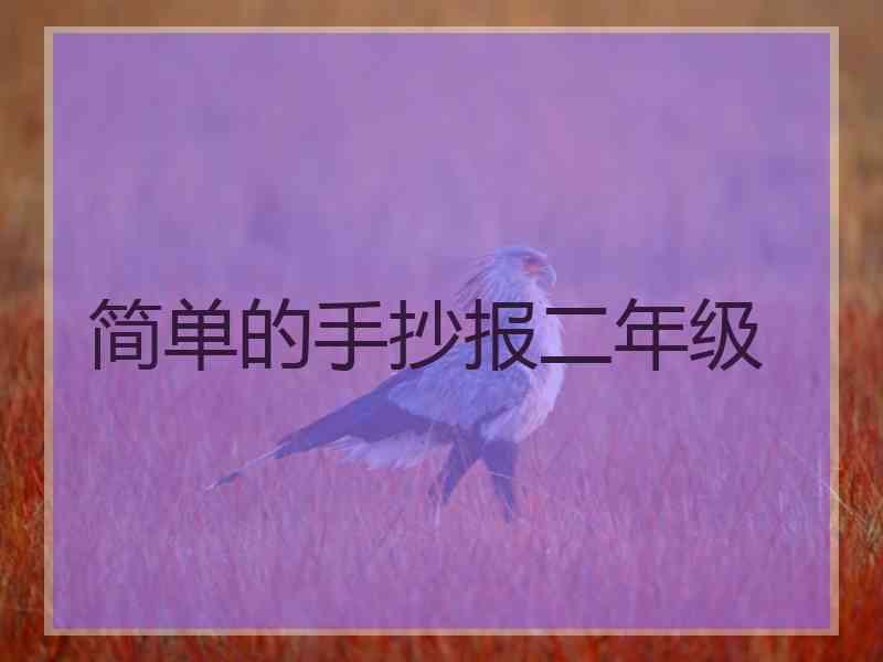 简单的手抄报二年级