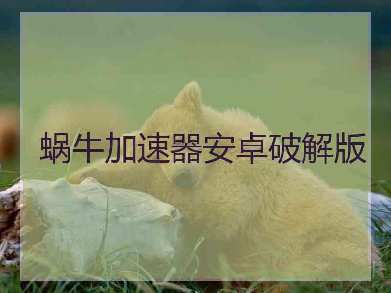 蜗牛加速器安卓破解版