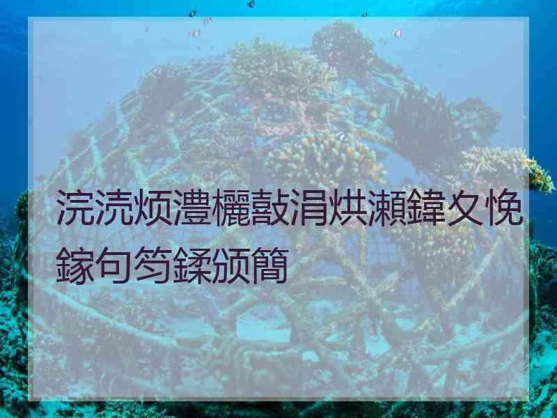 浣涜烦澧欐敼涓烘瀬鍏夊悗鎵句笉鍒颁簡