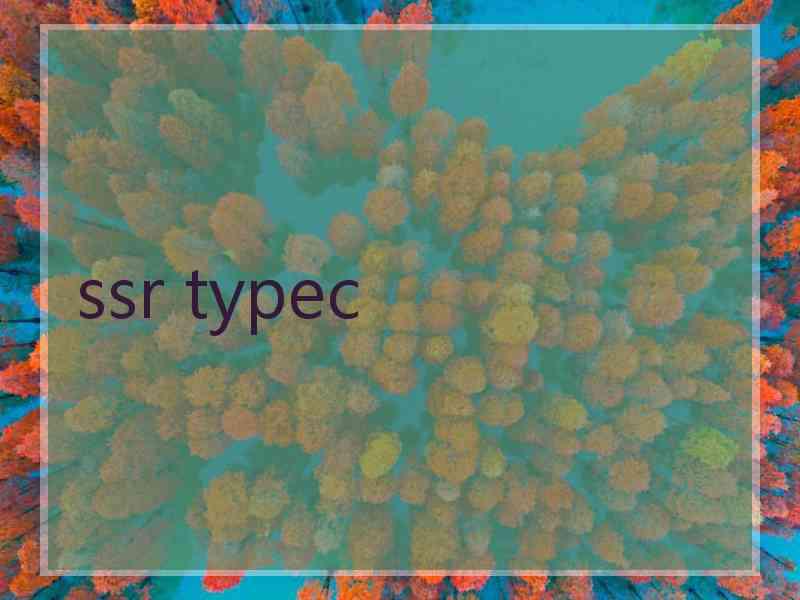 ssr typec