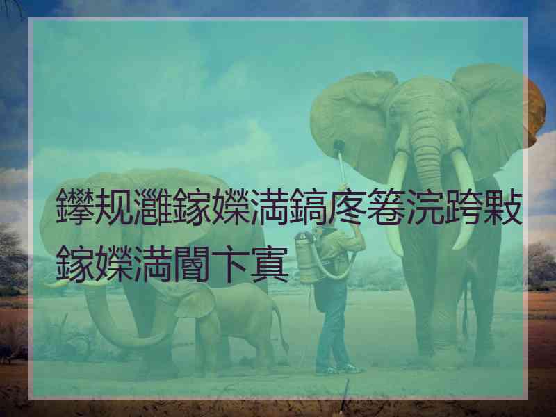 鑻规灉鎵嬫満鎬庝箞浣跨敤鎵嬫満閽卞寘
