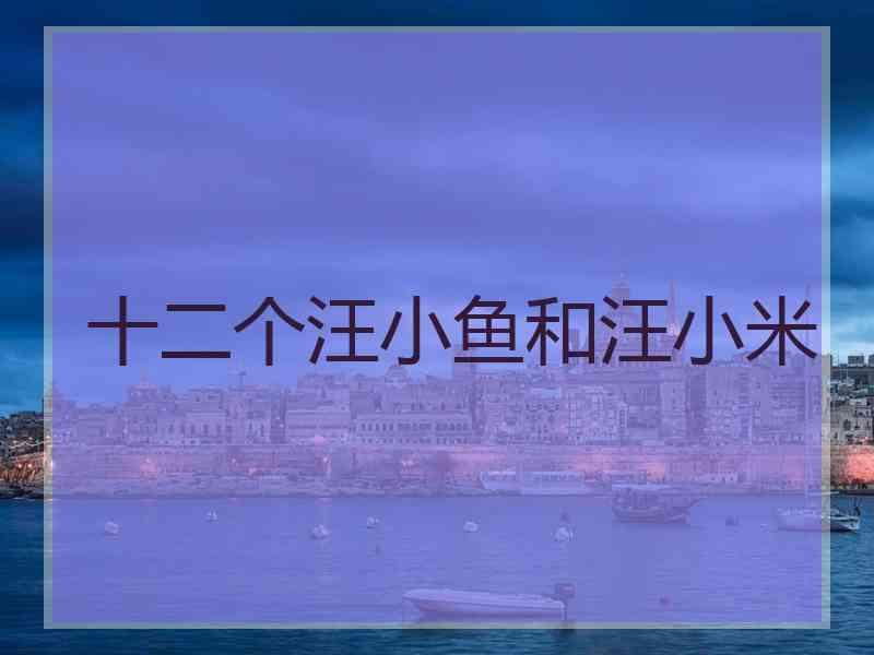 十二个汪小鱼和汪小米