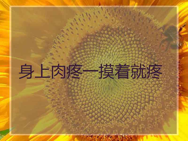 身上肉疼一摸着就疼