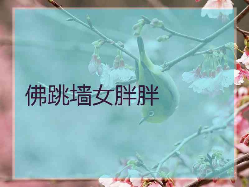 佛跳墙女胖胖