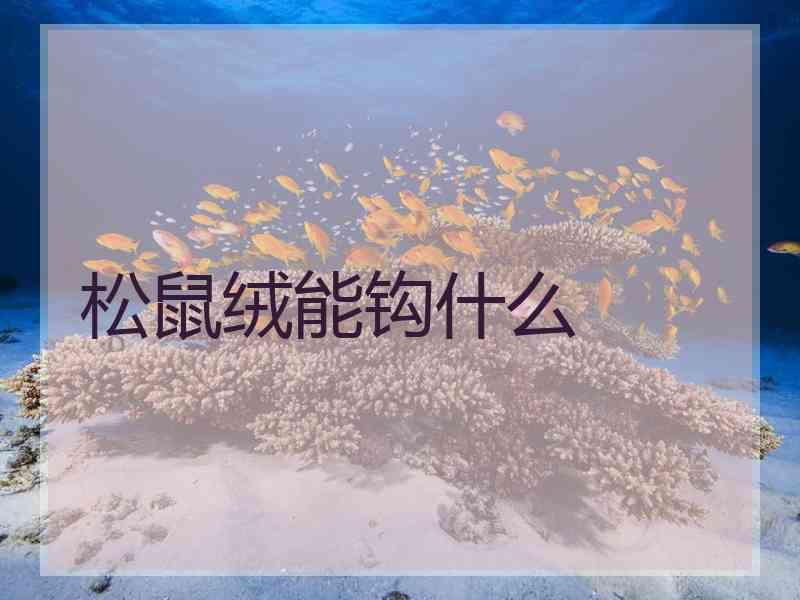 松鼠绒能钩什么