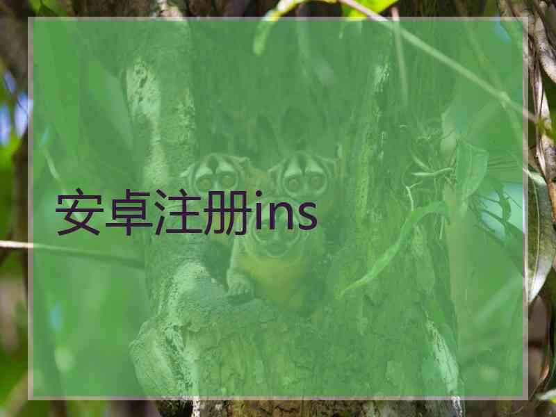 安卓注册ins