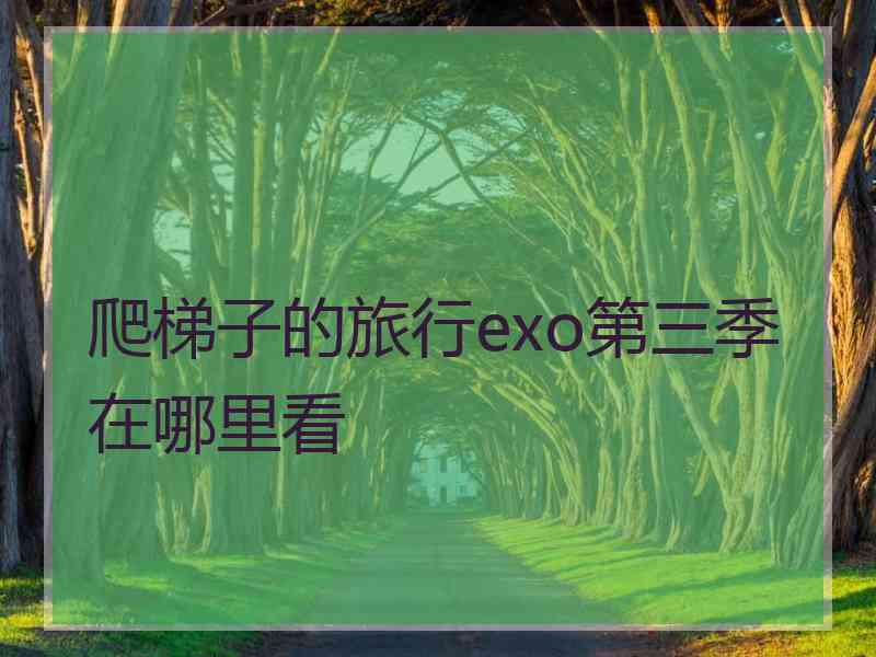 爬梯子的旅行exo第三季在哪里看