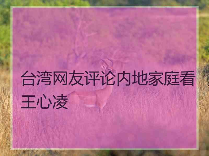 台湾网友评论内地家庭看王心凌