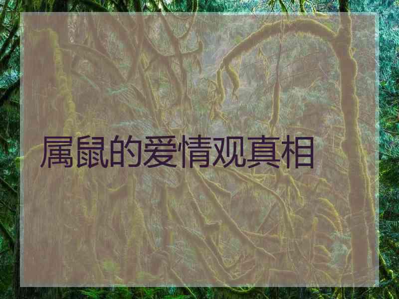 属鼠的爱情观真相